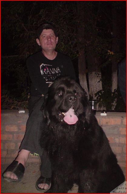 Фото: ньюфаундленд Ллойд Блэк