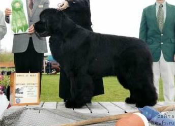 Фотография № 32158