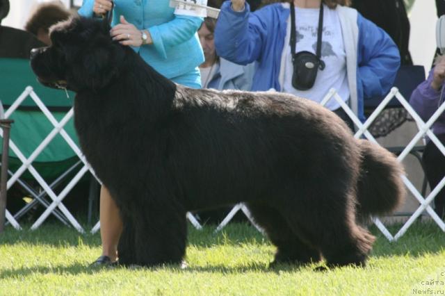 Фотография № 32159