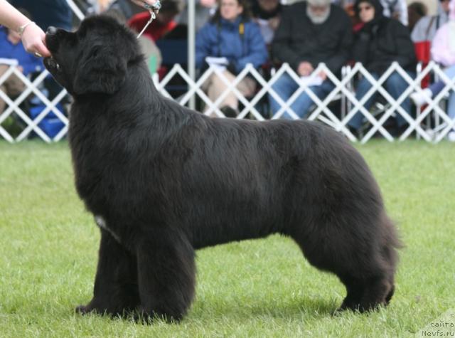 Фотография № 32160