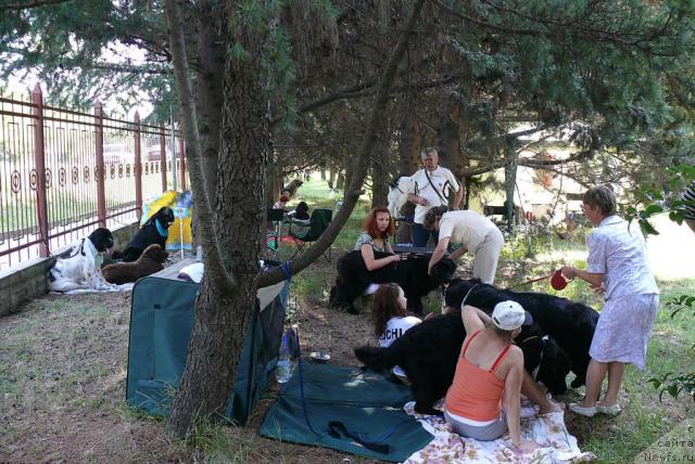 Фотография № 32167