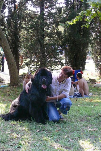 Фотография № 32174