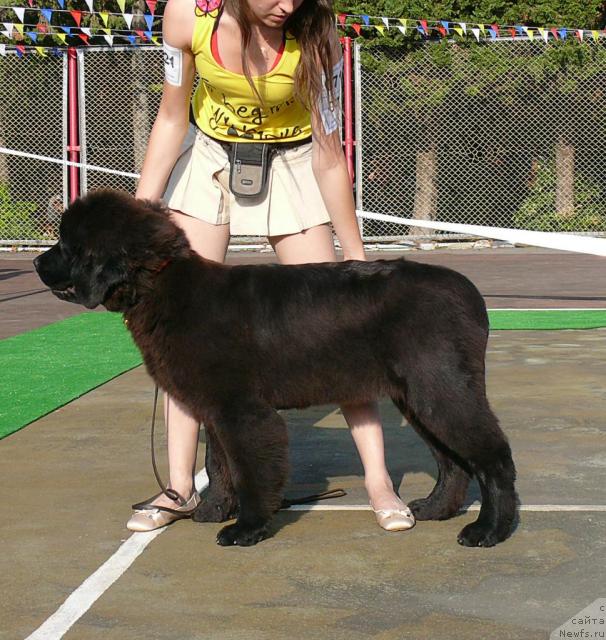 Фотография № 32182