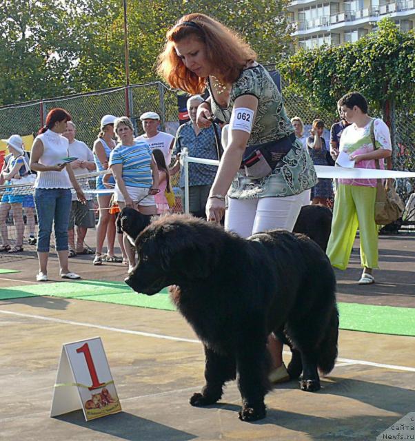 Фотография № 32183