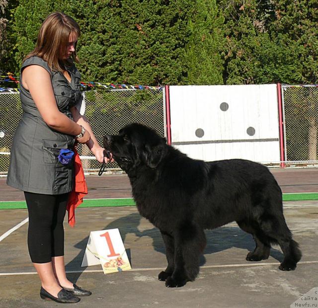 Фотография № 32194