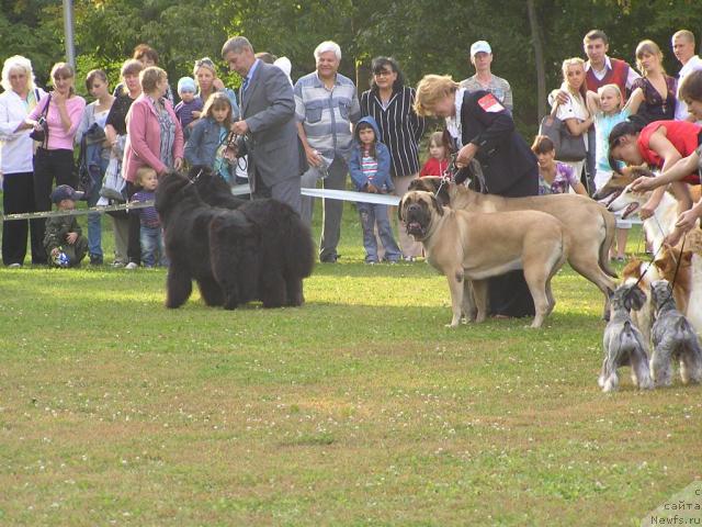 Фотография № 32195