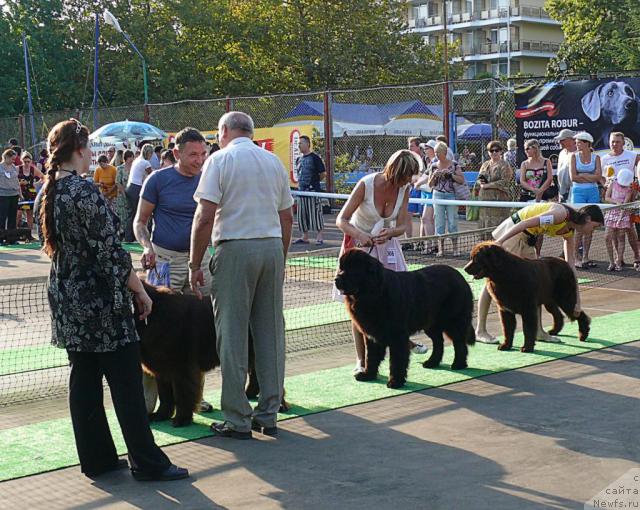 Фотография № 32196