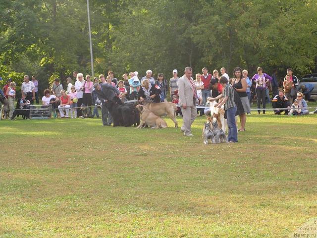 Фотография № 32197