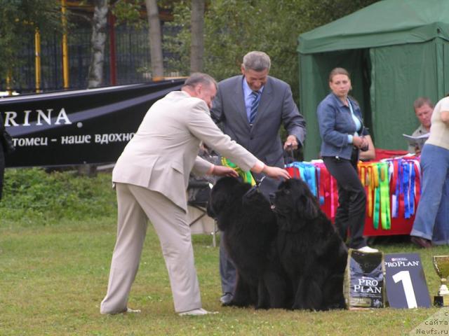 Фотография № 32200