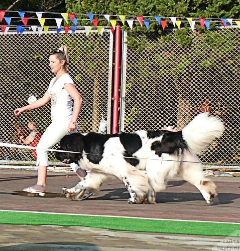 Фотография № 32201