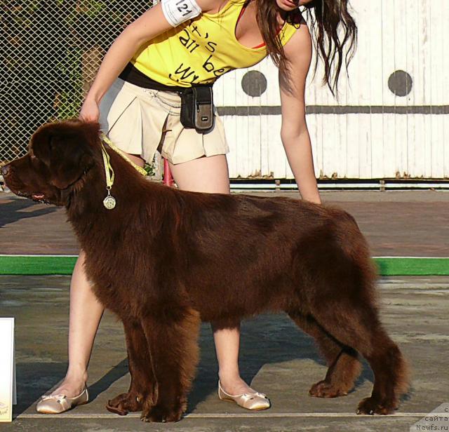 Фотография № 32205