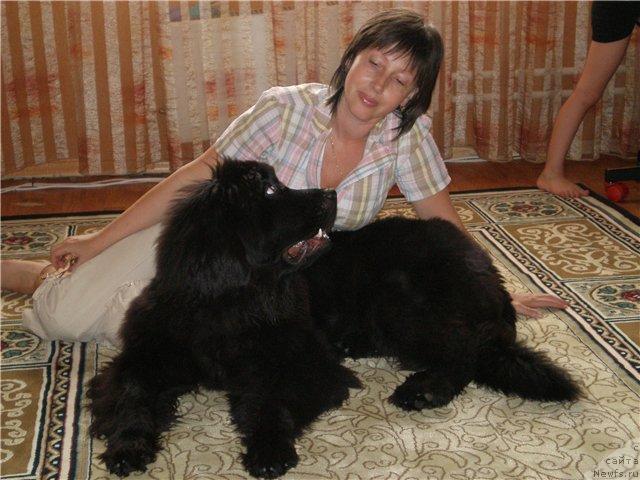 Фото: ньюфаундленд Грациозный со Звездного Неба, Александра Жукова