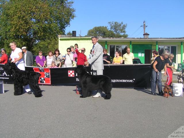 Фотография № 32277