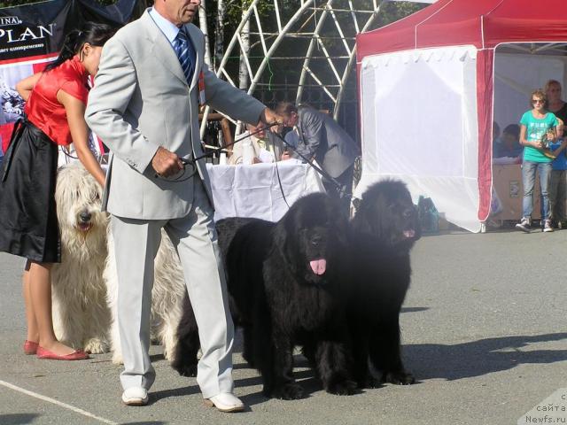 Фотография № 32278