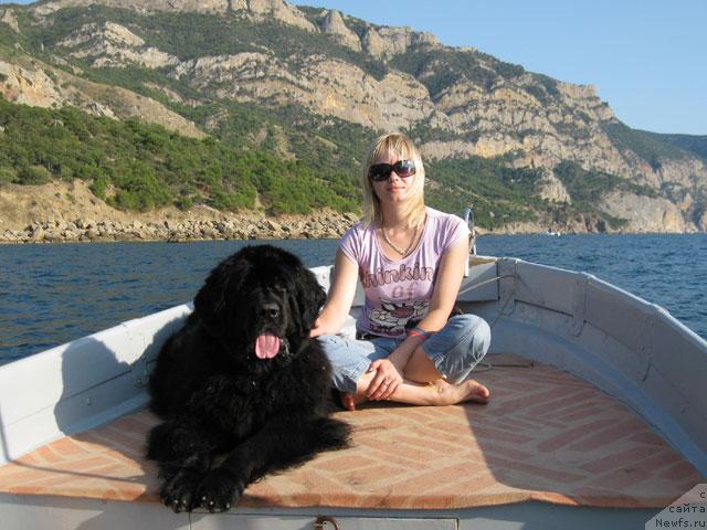 Фото: ньюфаундленд Бренда Кара Дениз, Ольга Панкова