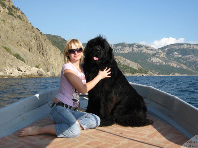 Фото: ньюфаундленд Влас (Vlas), Ольга Панкова