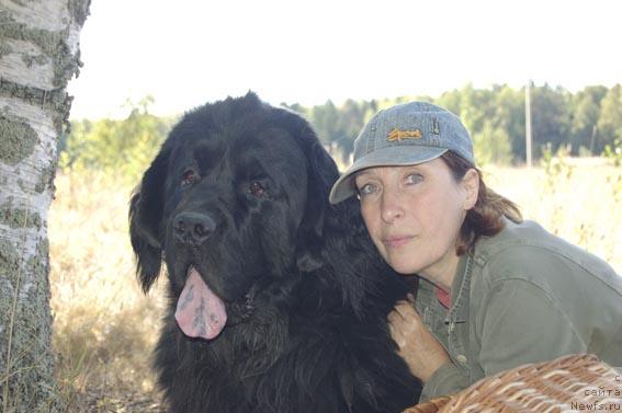 Фото: ньюфаундленд Сент Джонс Орфей