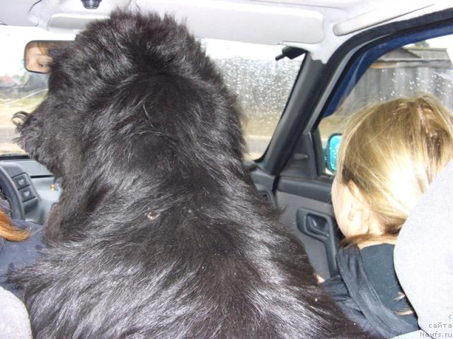 Фотография № 32331