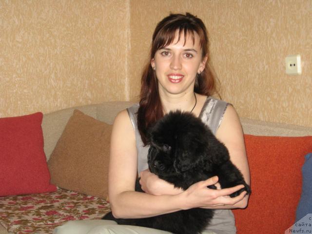 Фото: ньюфаундленд Лунная Красавица, Мария Короткина