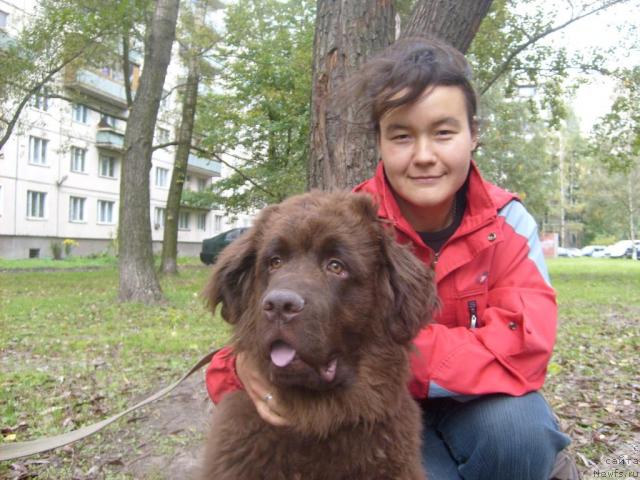 Фото: ньюфаундленд Фанньюф Окса-Дар, Ачитуева Дарима