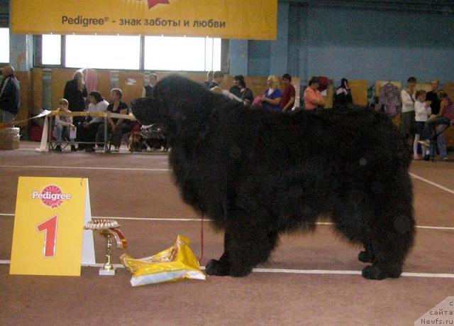 Фотография № 32385