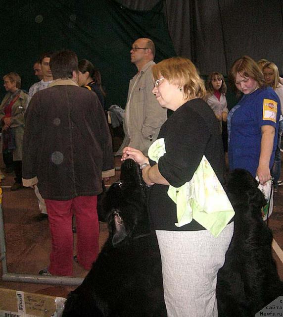 Фотография № 32388