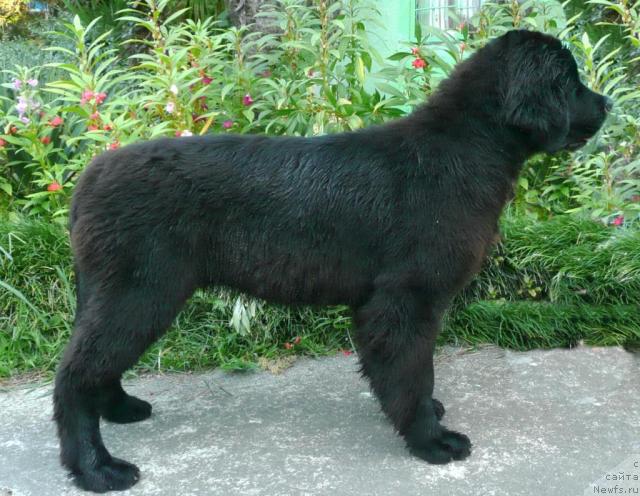 Фотография № 32410