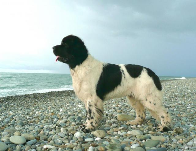 Фотография № 32413