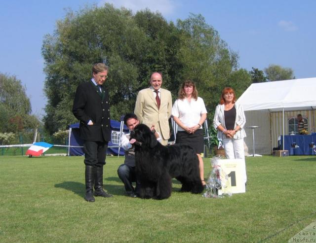 Фотография № 32419