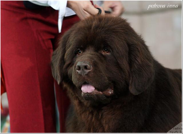 Фотография № 32515