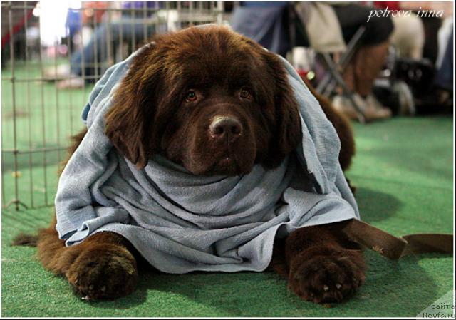 Фотография № 32516