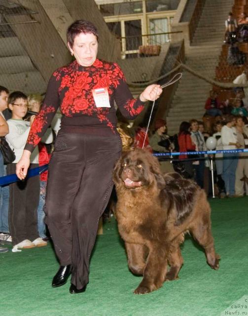 Фотография № 32532