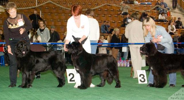 Фотография № 32539