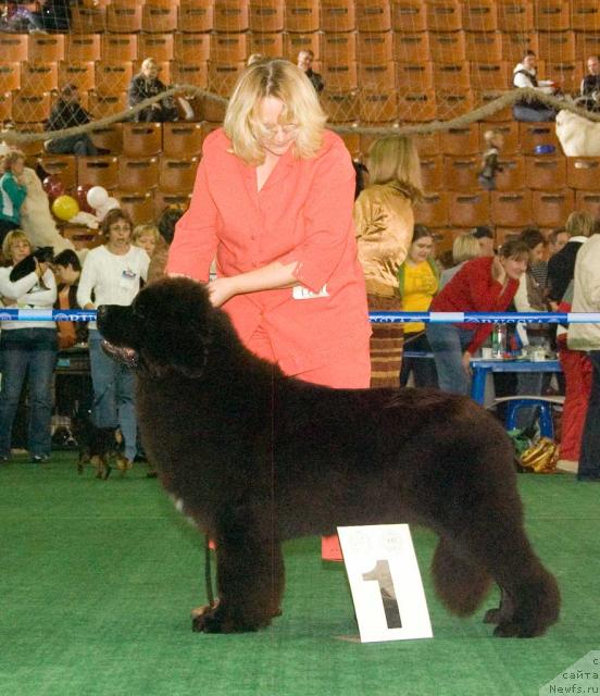 Фотография № 32543