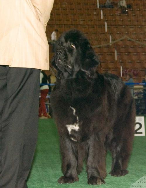 Фотография № 32552