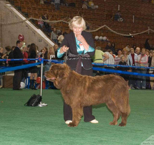 Фотография № 32554