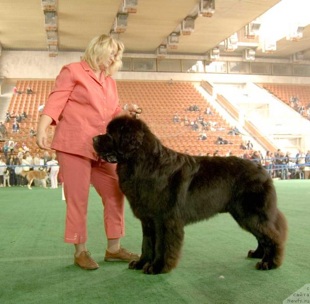 Фотография № 32558