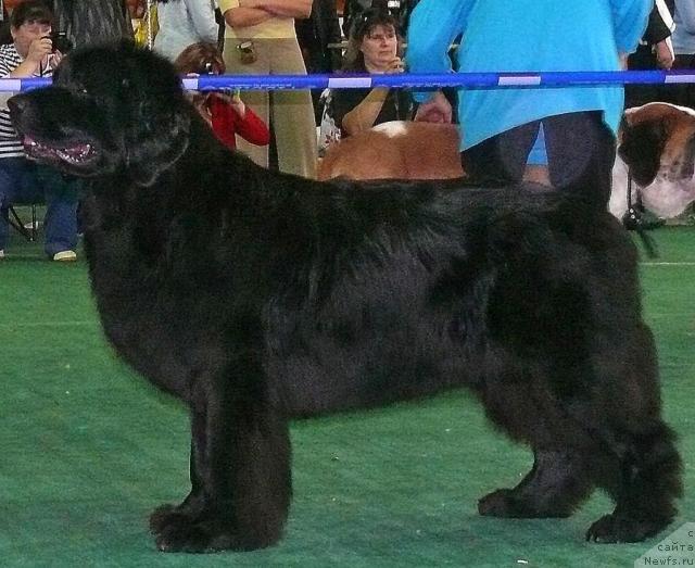 Фотография № 32563