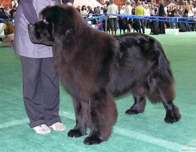 Фотография № 32566