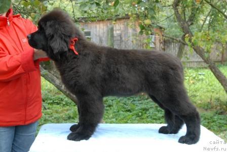 Фотография № 32576