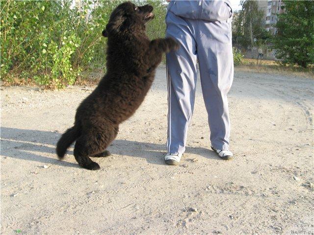 Фотография № 32671