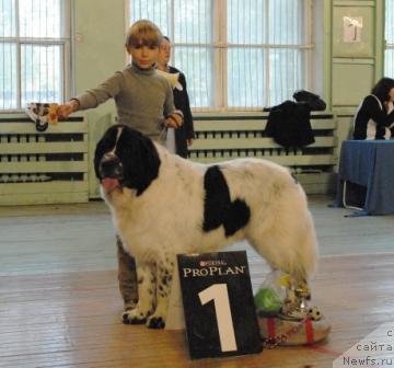 Фотография № 32681