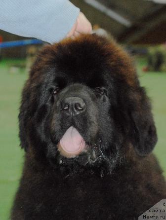 Фотография № 32683