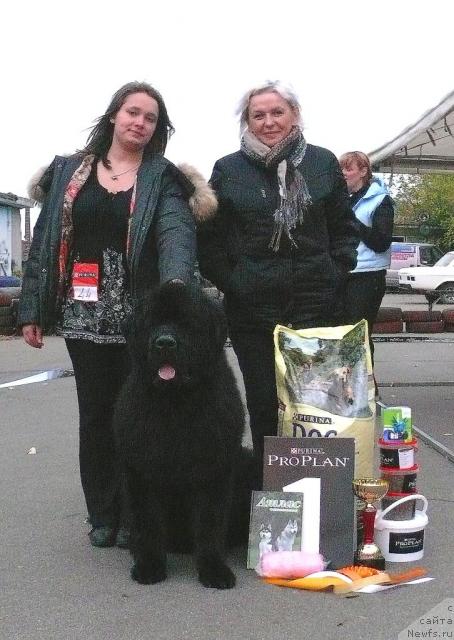 Фотография № 32688