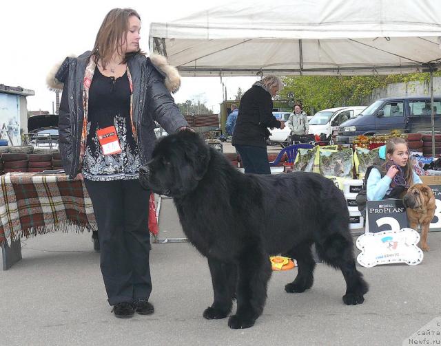 Фотография № 32710