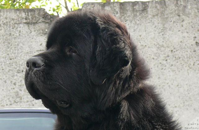 Фотография № 32711