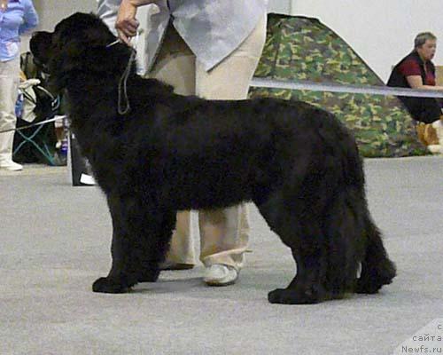 Фотография № 32725