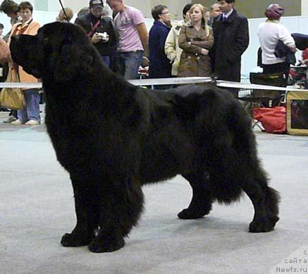 Фотография № 32726