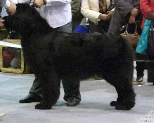 Фотография № 32727