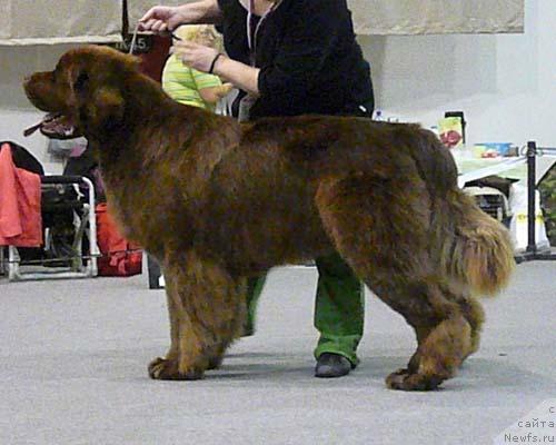 Фотография № 32728